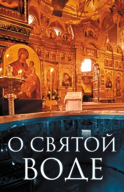 Андрей Плюснин О святой воде обложка книги