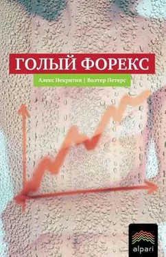 Алекс Некритин Голый Форекс. Техника трейдинга без индикаторов с высокой вероятностью успеха обложка книги