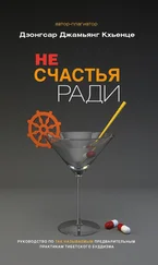 Дзонгсар Кхьенце - Не счастья ради. Руководство по так называемым предварительным практикам тибетского буддизма