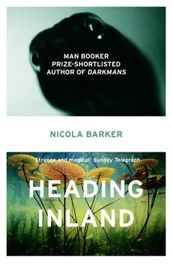 Nicola Barker Heading Inland