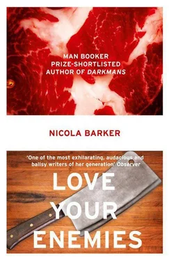 Nicola Barker Love Your Enemies обложка книги
