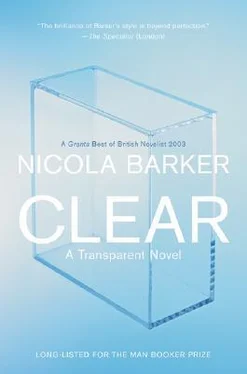 Nicola Barker Clear: A Transparent Novel обложка книги