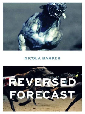 Nicola Barker Reversed Forecast обложка книги