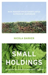 Nicola Barker - Small Holdings