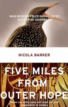 Nicola Barker Five Miles from Outer Hope обложка книги