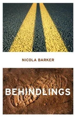 Nicola Barker Behindlings обложка книги