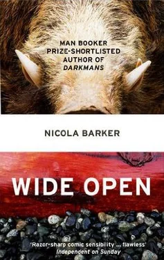 Nicola Barker Wide Open обложка книги