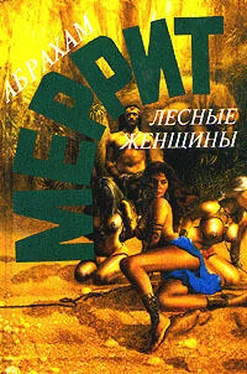 Абрахам Меррит Лесные женщины (сборник) обложка книги