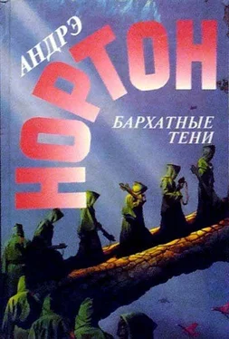 Андрэ Нортон Бархатные тени обложка книги