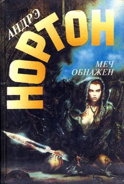 Андрэ Нортон Меч обнажен. Меч в ножнах обложка книги