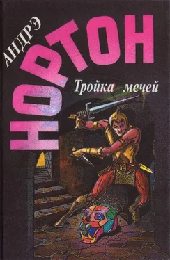 Андрэ Нортон Пояс из леопарда. Тройка мечей обложка книги