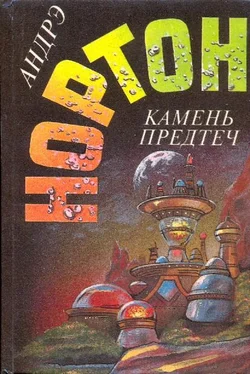 Андрэ Нортон Камень предтеч. Звёзды, не нанесённые на карты обложка книги