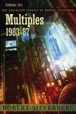 Robert Silverberg Multiples обложка книги