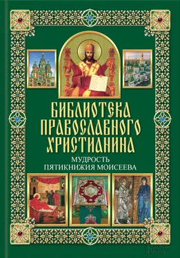 Павел Михалицын Мудрость Пятикнижия Моисеева обложка книги