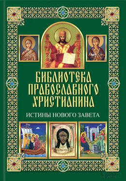 Павел Михалицын Истины Нового Завета обложка книги