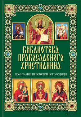 Павел Михалицын Почитание Пресвятой Богородицы обложка книги