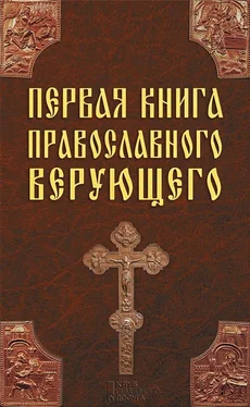 Павел Михалицын Первая книга православного верующего обложка книги