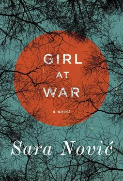 Novic Sara Girl at War обложка книги