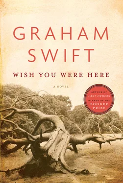 Graham Swift Wish You Were Here обложка книги