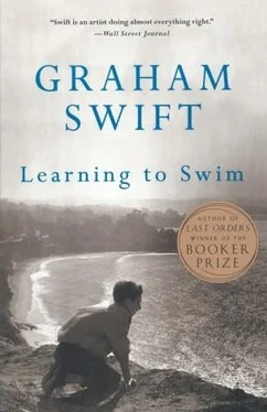 Graham Swift Learning to Swim: And Other Stories обложка книги