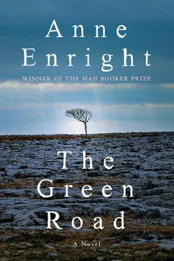 Anne Enright The Green Road обложка книги