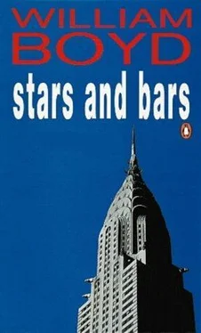 William Boyd Stars and bars обложка книги