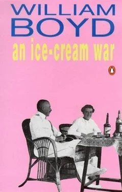 William Boyd An Ice-Cream War обложка книги