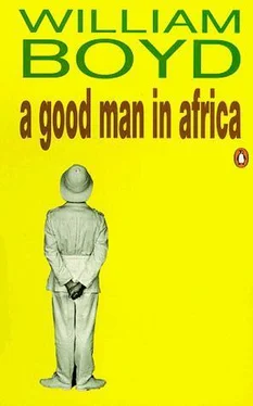 William Boyd A Good Man in Africa обложка книги