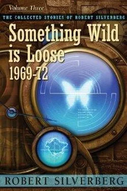 Robert Silverberg Something Wild Is Loose обложка книги