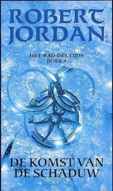 Robert Jordan De komst van de Schaduw обложка книги