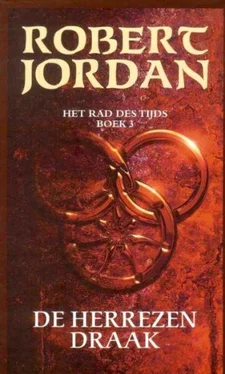Robert Jordan De Herrezen Draak обложка книги
