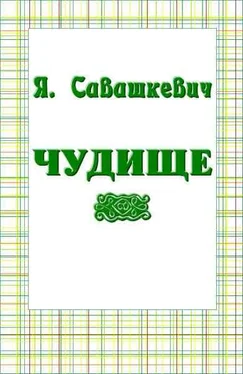 Яцек Савашкевич Чудище обложка книги