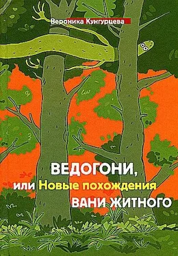 Вероника Кунгурцева Ведогони, или Новые похождения Вани Житного обложка книги