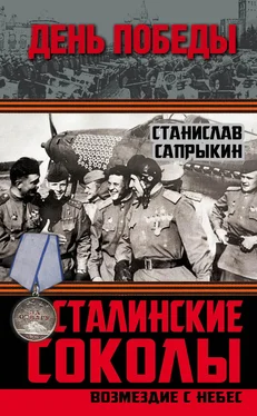 Станислав Сапрыкин Сталинские соколы. Возмездие с небес обложка книги