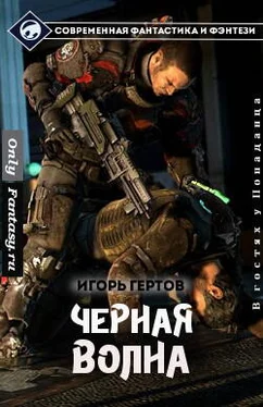 Игорь Гертов Чёрная Волна (СИ) обложка книги