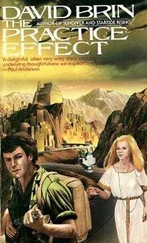 David Brin - The Practice Effect