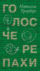 Наталья Трауберг - Голос черепахи (сборник)