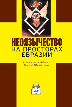 Array Сборник статей Неоязычество на просторах Евразии обложка книги