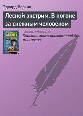 Эдуард Веркин Лесной экстрим. В погоне за снежным человеком обложка книги