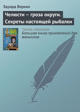 Эдуард Веркин Челюсти – гроза округи. Секреты настоящей рыбалки обложка книги