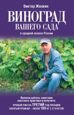 Виктор Жвакин Виноград вашего сада в средней полосе России обложка книги