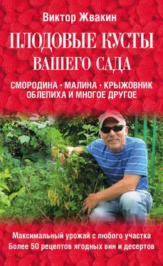 Виктор Жвакин Плодовые кусты вашего сада обложка книги