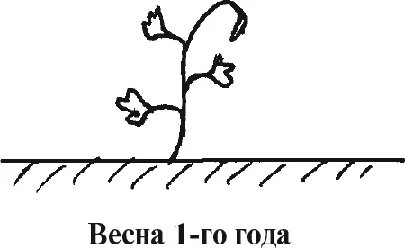 Рис 6 Рис 7 - фото 7