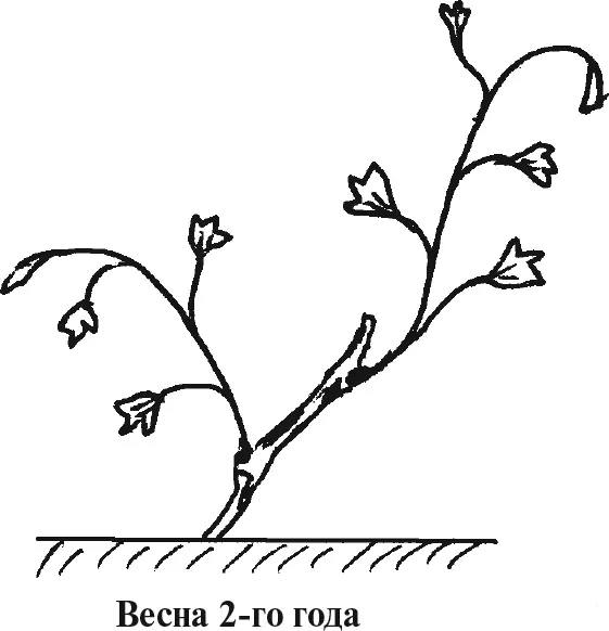 Рис 7 Рис 8 - фото 9