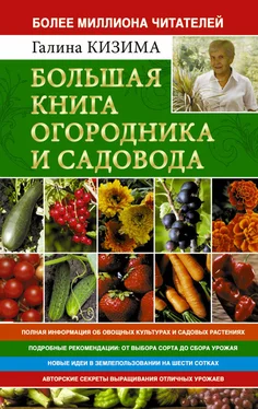 Галина Кизима Большая книга огородника и садовода. Все секреты плодородия обложка книги