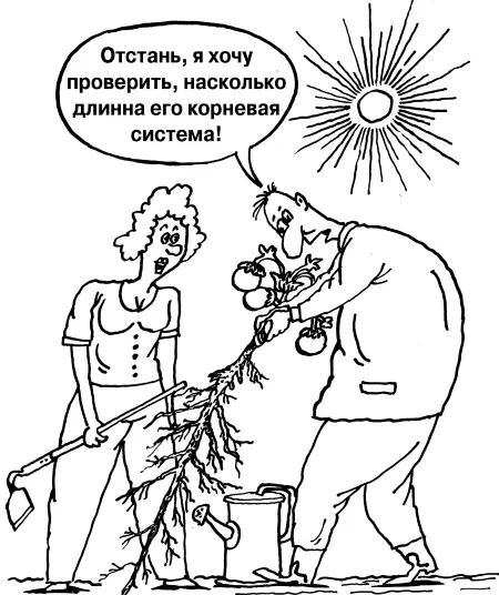 Начнем с томатовЕсли не хотите все лето бегать с лейкой то при пикировке - фото 14