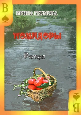 Ирина Громова Помидоры обложка книги