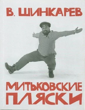 Владимир Шинкарев МИТЬКОВСКИЕ ПЛЯСКИ обложка книги