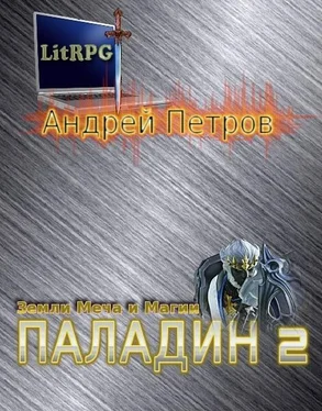 Андрей Петров Земли Меча и Магии. Паладин 2 обложка книги