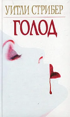 Уитли Стрибер Голод обложка книги